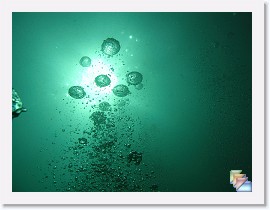 Best Of Scuba * (255 Slides)